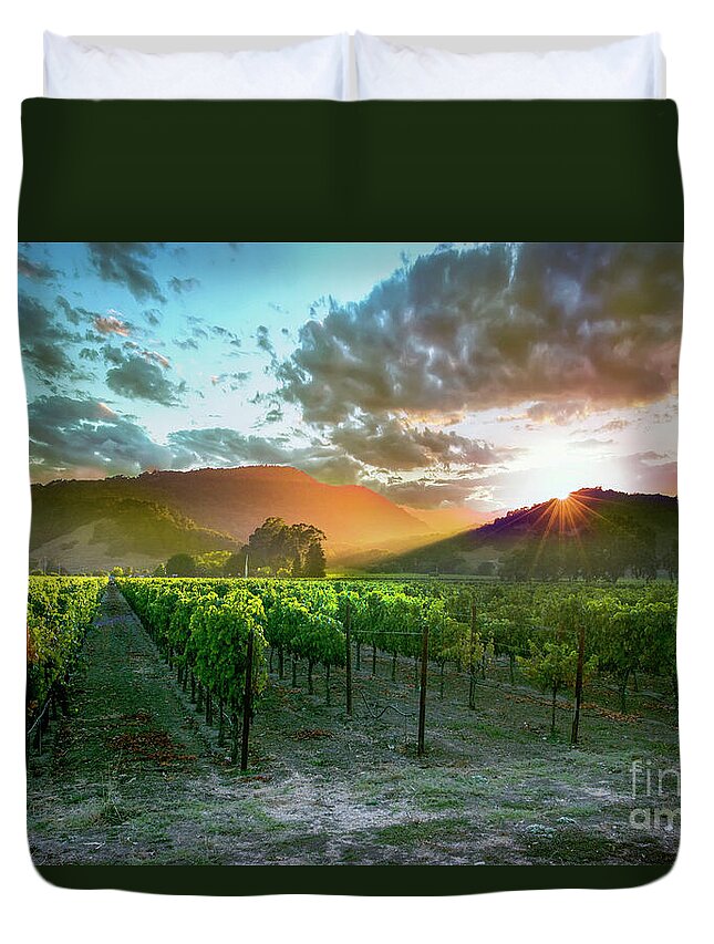 Napa Duvet Cover featuring the photograph Wine Country by Jon Neidert