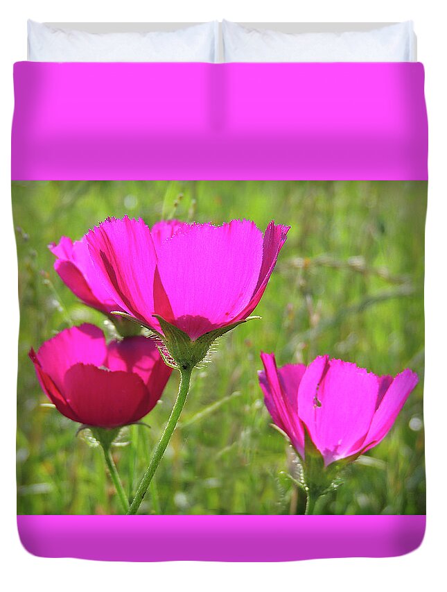 Flower Duvet Cover featuring the photograph Winecup Flowers in Sunlight by Lindy Pollard