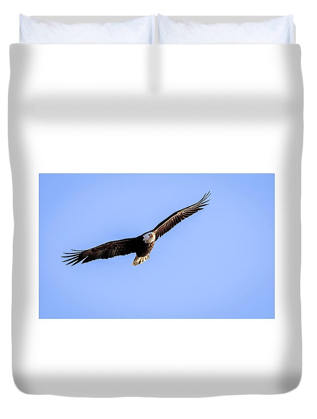 Bald Eagle Duvet Cover featuring the photograph Wing Span by Ray Congrove