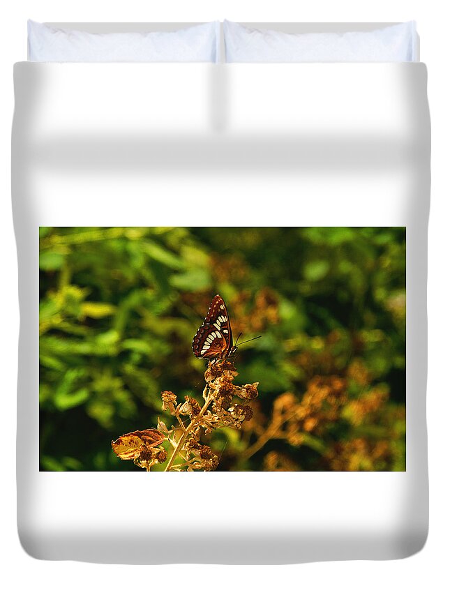 Butterfly Duvet Cover featuring the photograph Wingo Butterfly by David Armentrout