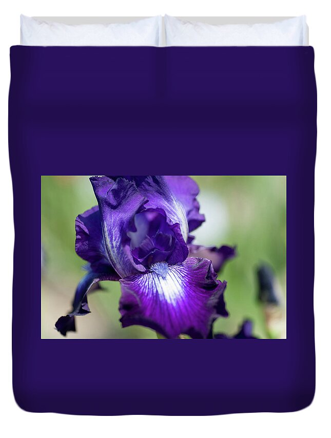 Iridaceae Duvet Cover featuring the photograph Winners Circle Macro. The Beauty of Irises by Jenny Rainbow