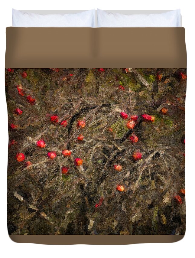 Maine Lobster Boats Duvet Cover featuring the photograph Winter Apple Abstract by Tom Singleton