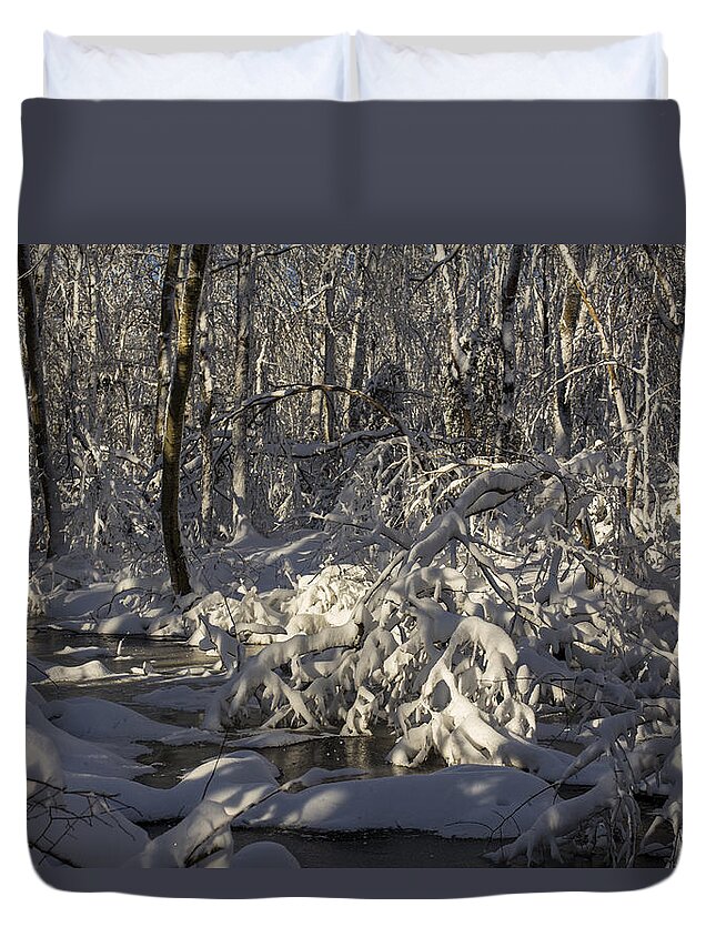 Andrew Pacheco Duvet Cover featuring the photograph Winter at Borden Brook by Andrew Pacheco