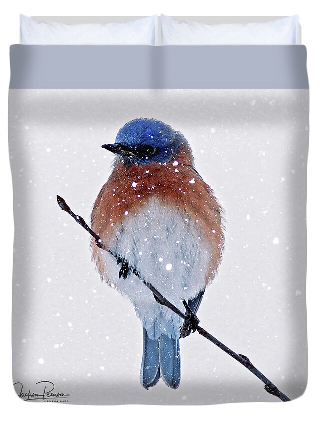 Bluebird Duvet Cover featuring the photograph Winter Bluebird by Jackson Pearson