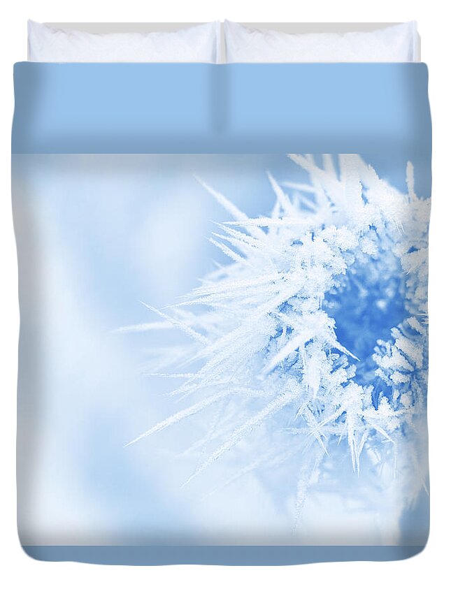 Winter Duvet Cover featuring the photograph Winter Blues by Iryna Goodall