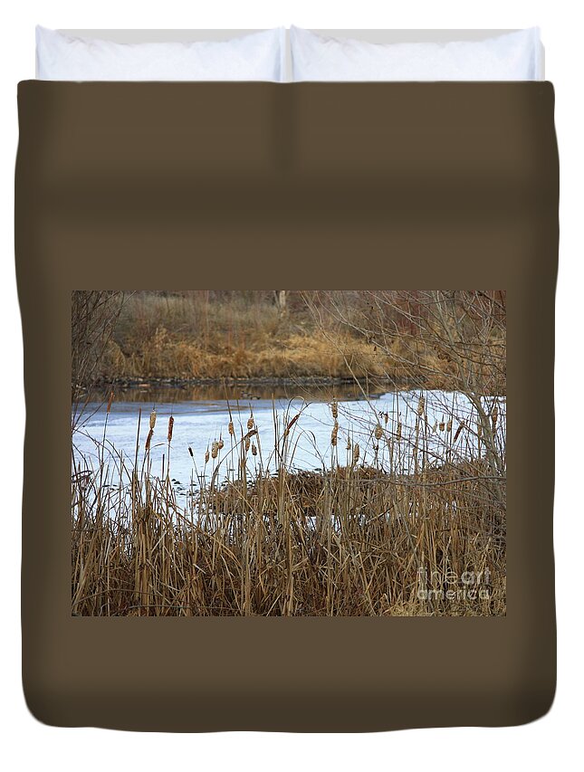 Winter Pond Duvet Cover featuring the photograph Winter Cattails by Carol Groenen