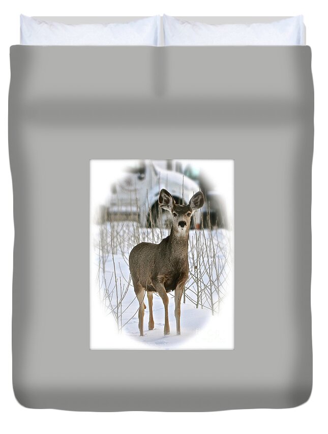 Deer Duvet Cover featuring the photograph Winter Deer on the Tree Farm by Cindy Schneider