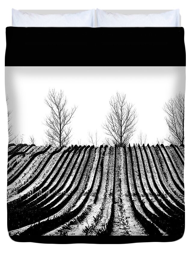 Winter Duvet Cover featuring the photograph Winter fields by Mike Santis