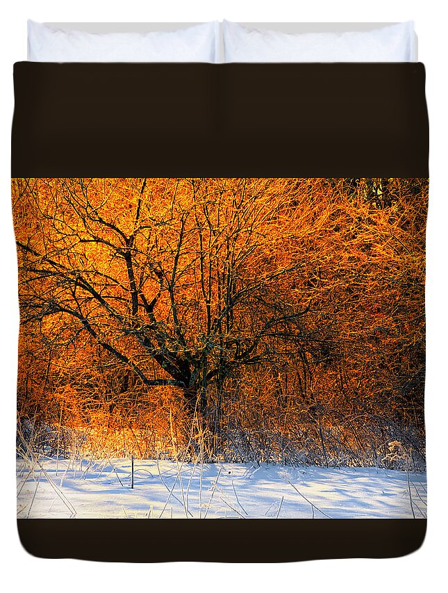 Winter Landscape Duvet Cover featuring the photograph Winter Fire by Irwin Barrett