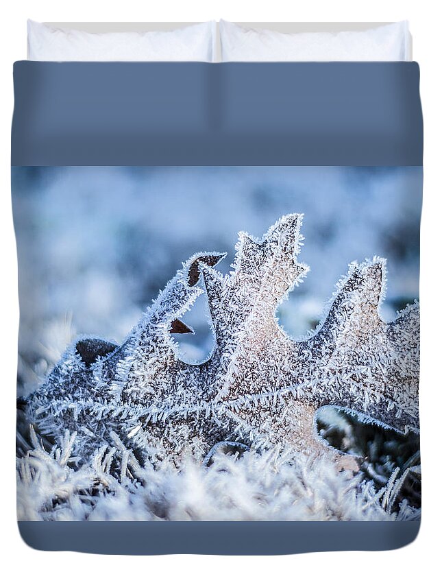 Ice Duvet Cover featuring the photograph Winter Frost by Parker Cunningham