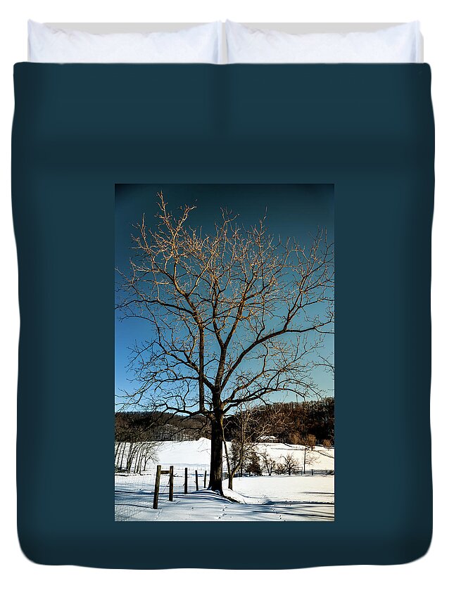 Winter Trees Duvet Cover featuring the photograph Winter Glow by Karen Wiles