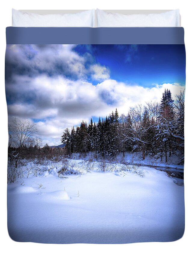 Landscapes Duvet Cover featuring the photograph Winter Highlights by David Patterson