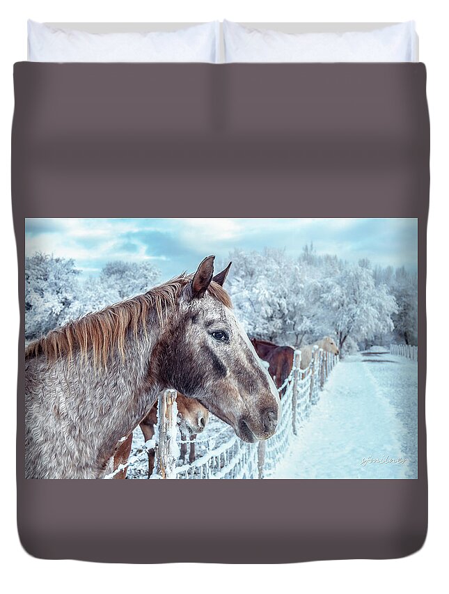Horses Duvet Cover featuring the photograph Winter Horses by Steven Milner