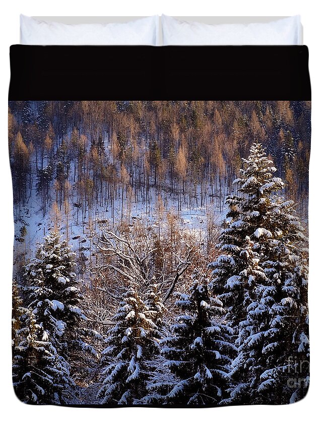 Prott Duvet Cover featuring the photograph winter in Bavaria 8 by Rudi Prott