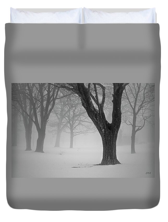 Landscape Duvet Cover featuring the photograph Winter Landscape V by David Gordon