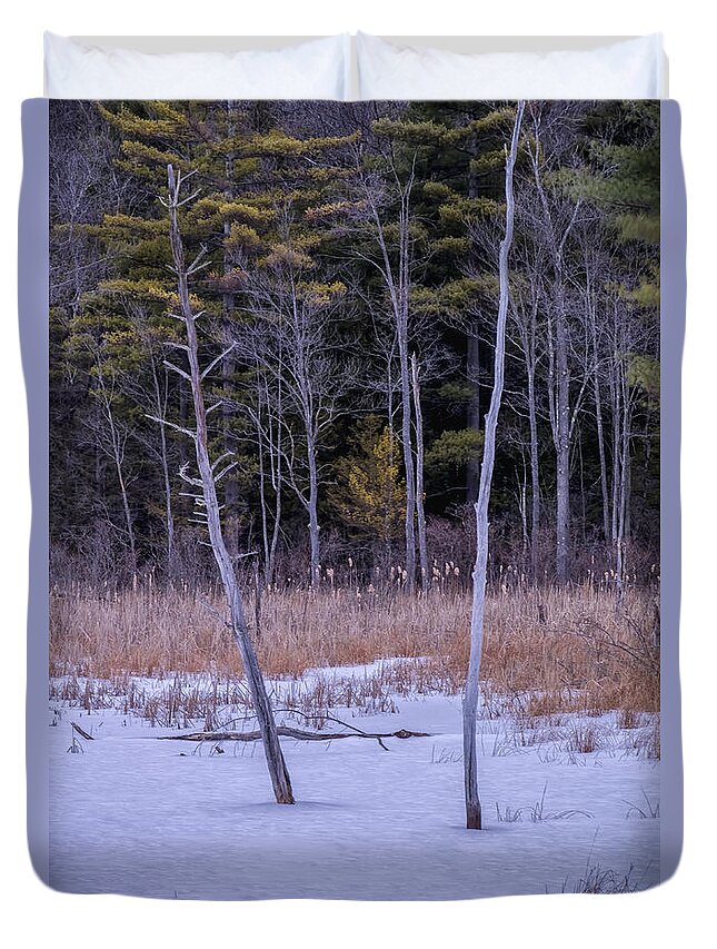 Spofford Lake New Hampshire Duvet Cover featuring the photograph Winter Marsh And Trees by Tom Singleton