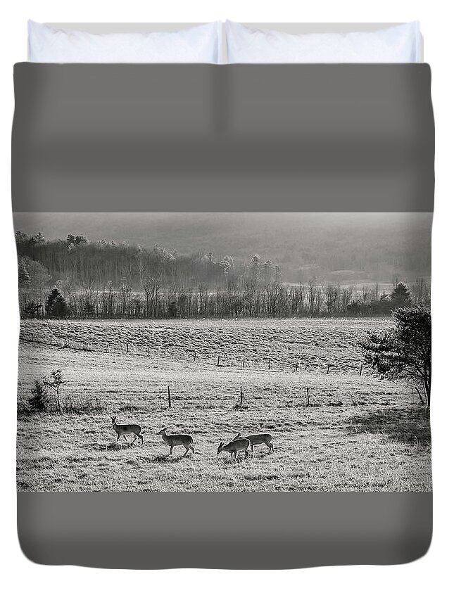 Winter Duvet Cover featuring the photograph Winter Morning Moment by Randall Evans