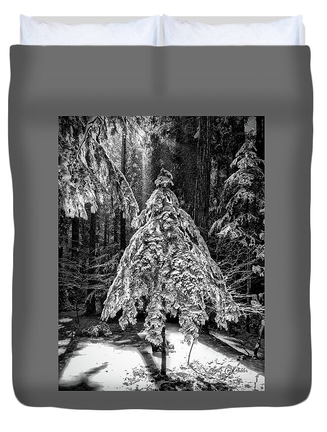 Winter Duvet Cover featuring the photograph Winter Morning by Steph Gabler
