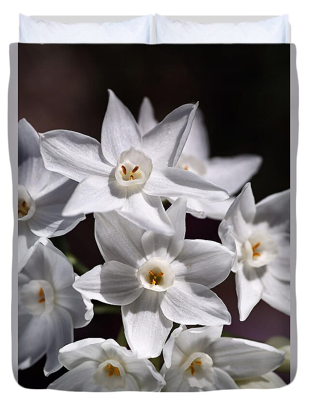 Paperwhite Narcissus Duvet Cover featuring the photograph Winter Paperwhite Flowers by Joy Watson