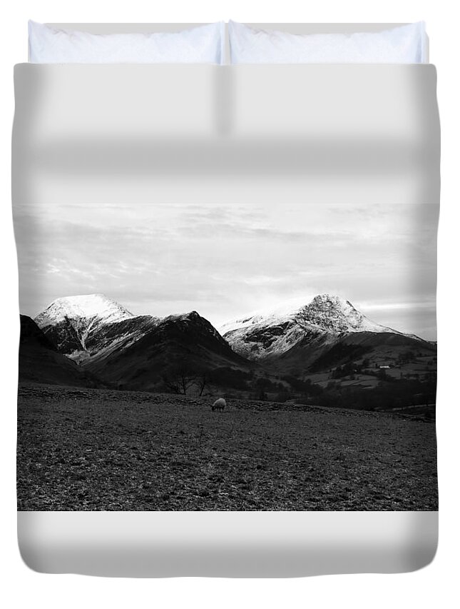 Nature Duvet Cover featuring the photograph Winter sheep by Lukasz Ryszka