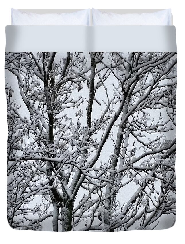 Ice Duvet Cover featuring the photograph Winter Sky through Snow Branches by Vic Ritchey