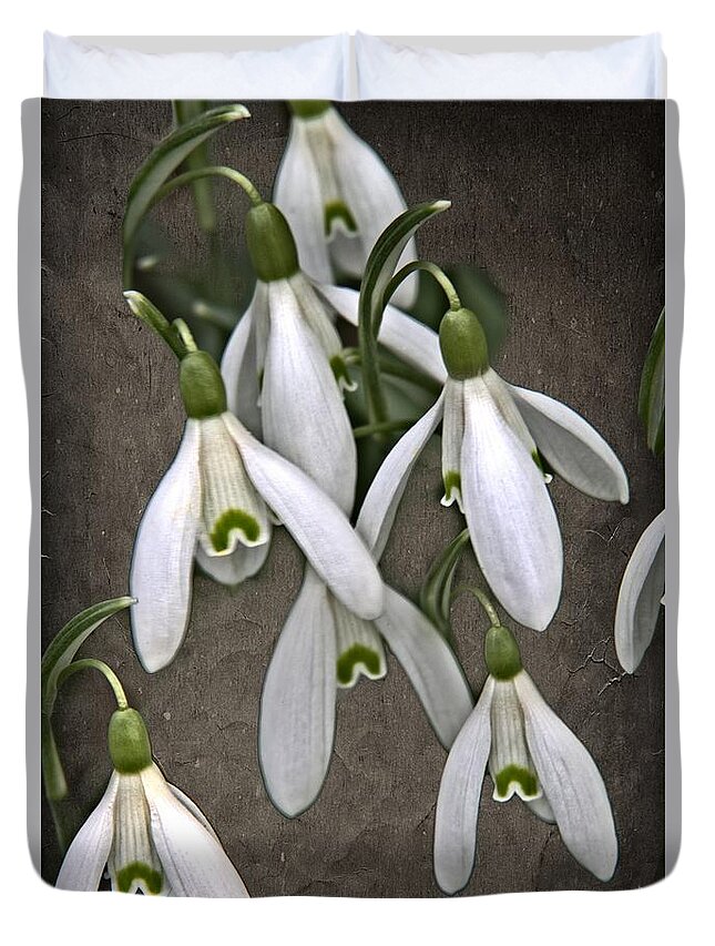Snowdrop Duvet Cover featuring the photograph Winter Snowdrop Canvas by Martyn Arnold
