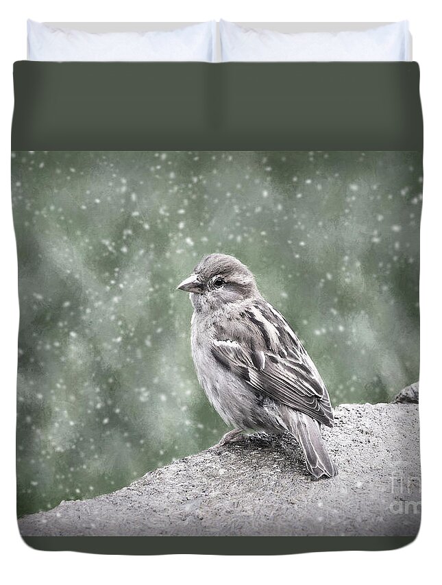 Nature Duvet Cover featuring the photograph Winter Sparrow by Sharon McConnell