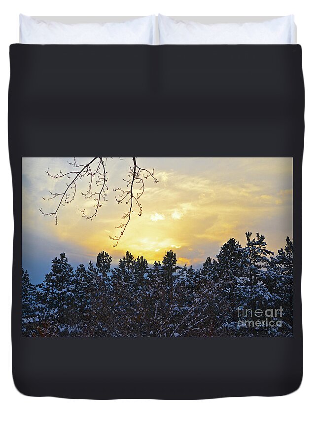 Winter Sunset Duvet Cover featuring the photograph Winter Sunset on the Tree Farm #1 by Cindy Schneider
