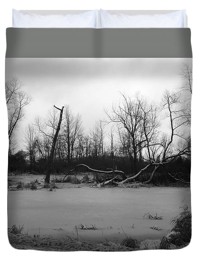 Swamp Duvet Cover featuring the photograph Winter Swamp by Michelle Miron-Rebbe