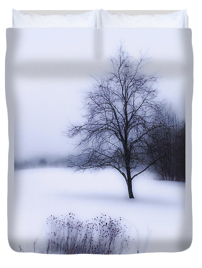 Vermont Duvet Cover featuring the photograph Winter by Tammy Wetzel