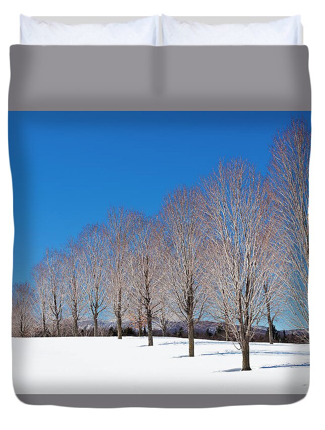 Winter Duvet Cover featuring the photograph Winter Trees by Alan L Graham