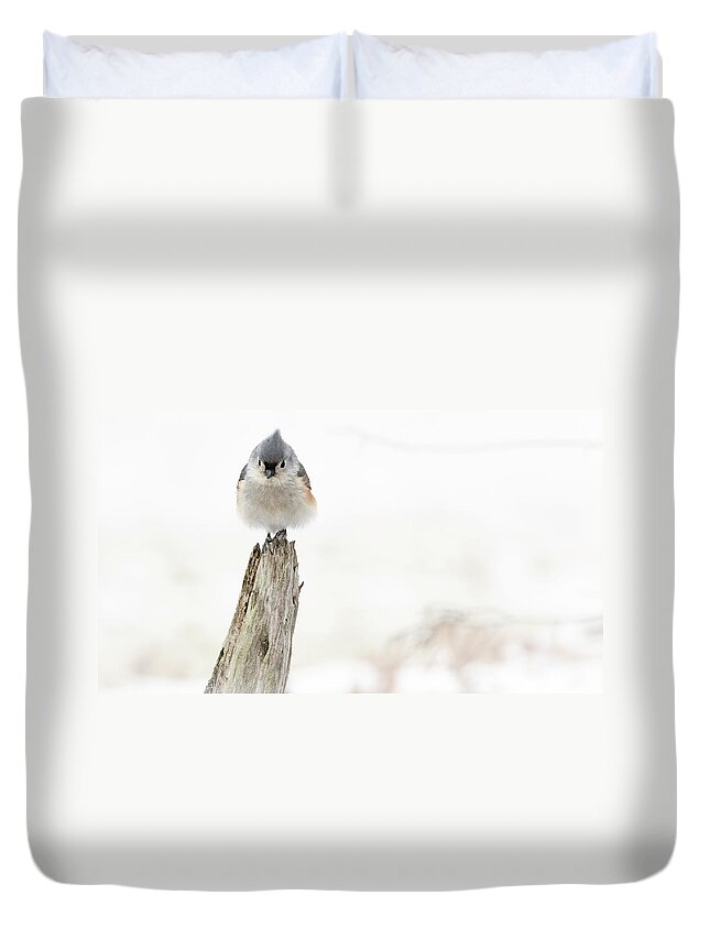 Bird Duvet Cover featuring the photograph Winter Visit by Holly Ross