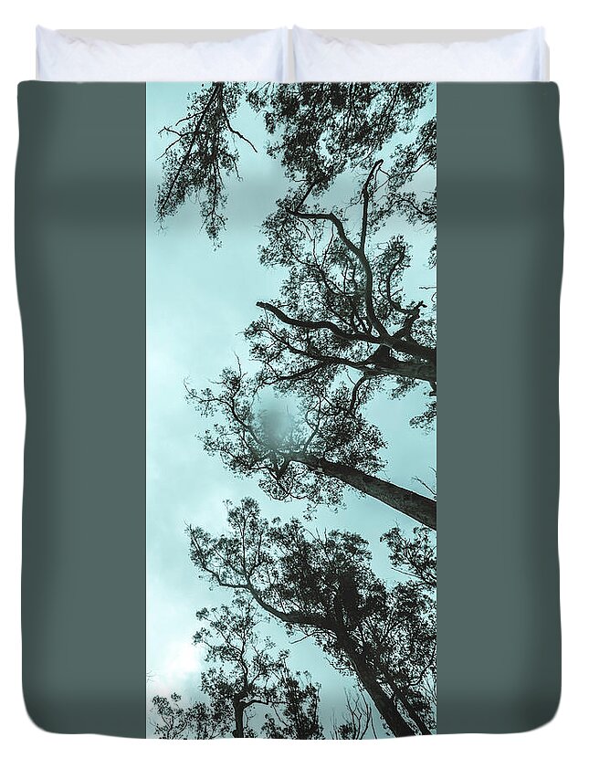 Tree Duvet Cover featuring the photograph Winter woods by Jorgo Photography