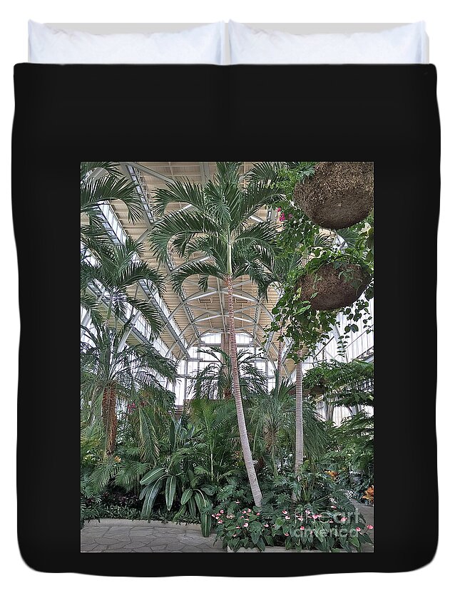 Palm Trees Duvet Cover featuring the photograph Winterized Palm Trees by Barbara Plattenburg