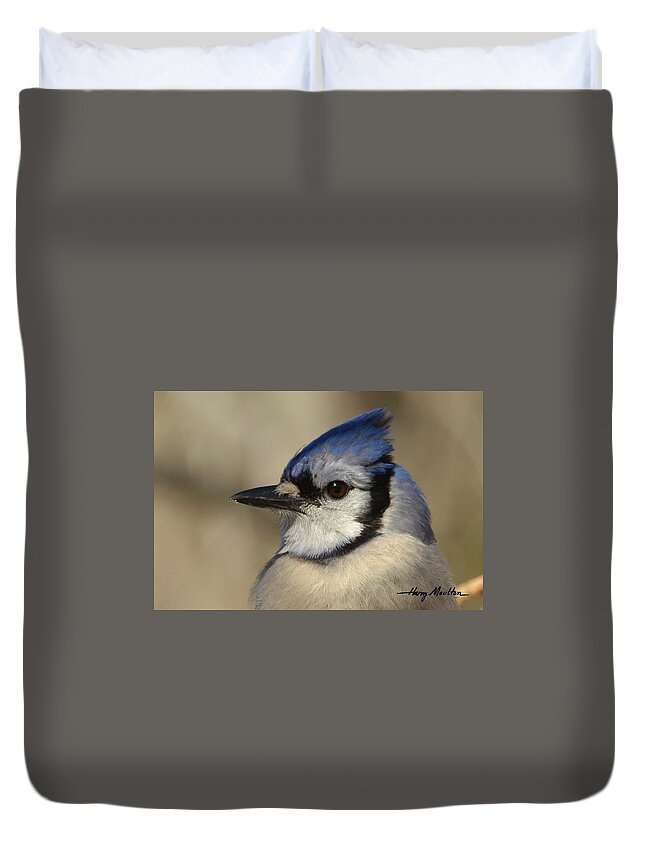 Bird Duvet Cover featuring the photograph Winters Friend by Harry Moulton