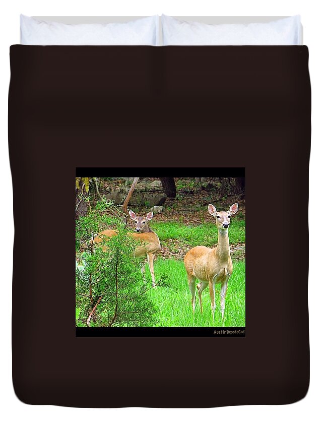 Keepaustinweird Duvet Cover featuring the photograph Wishing You An #instacool #tuesday From by Austin Tuxedo Cat