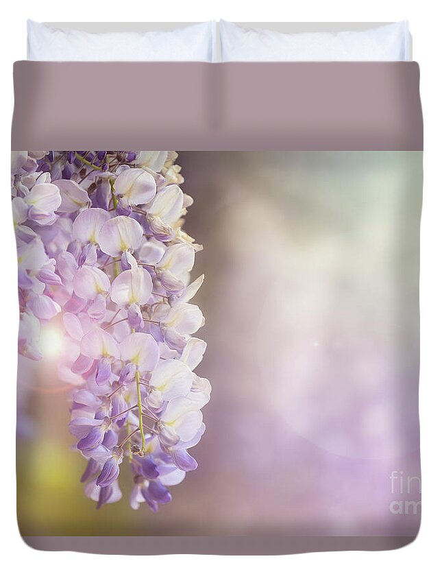 Wisteria Duvet Cover featuring the photograph Wisteria flowers in sunlight by Jane Rix