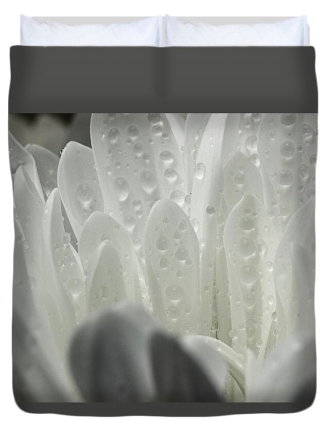Daisy Petals Duvet Cover featuring the photograph Within by Mike Eingle