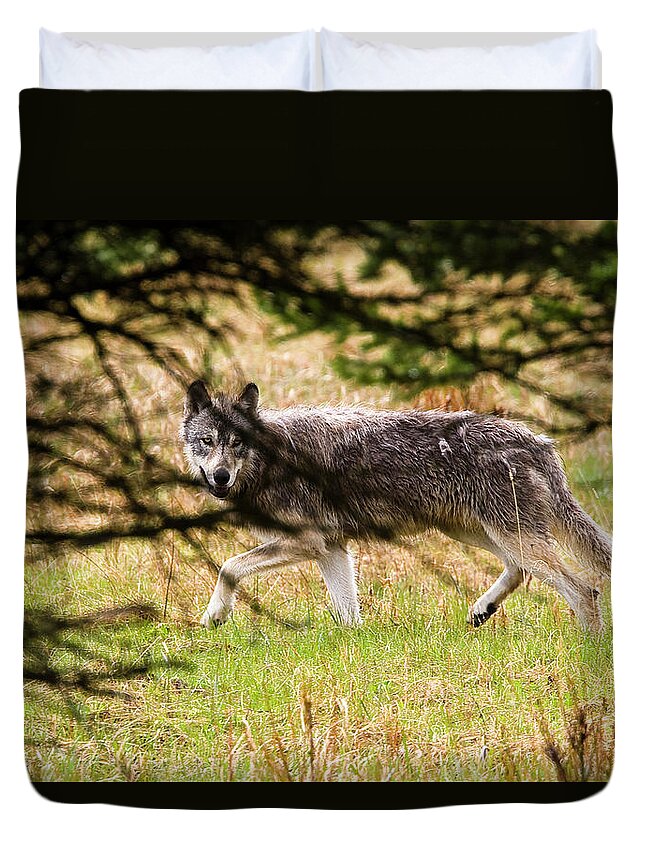 Truly Wild (nonb-captive) Duvet Cover featuring the photograph Wolf 373M through the Trees by Mark Miller