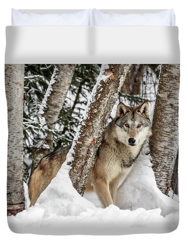 Watcher In The Woods Duvet Cover featuring the photograph Watcher In The Woods by Wes and Dotty Weber