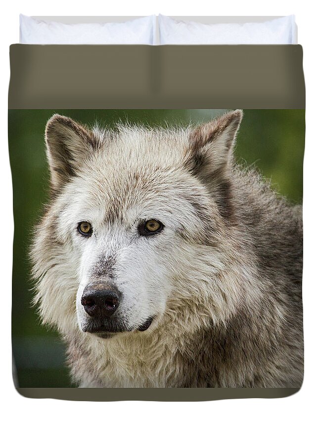 Wolf Duvet Cover featuring the photograph Wolf by Wesley Aston