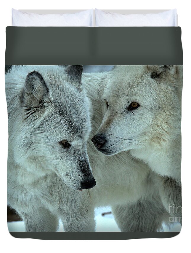  Duvet Cover featuring the photograph Wolf Whispers by Adam Jewell