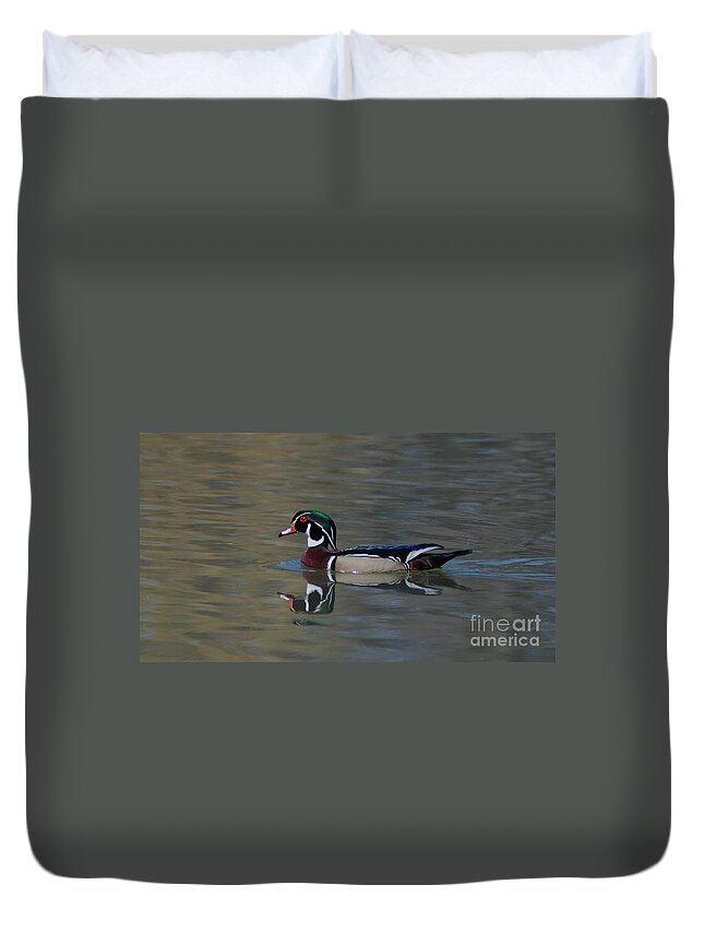 Duck Duvet Cover featuring the photograph Wood Duck - Male by Ronald Grogan