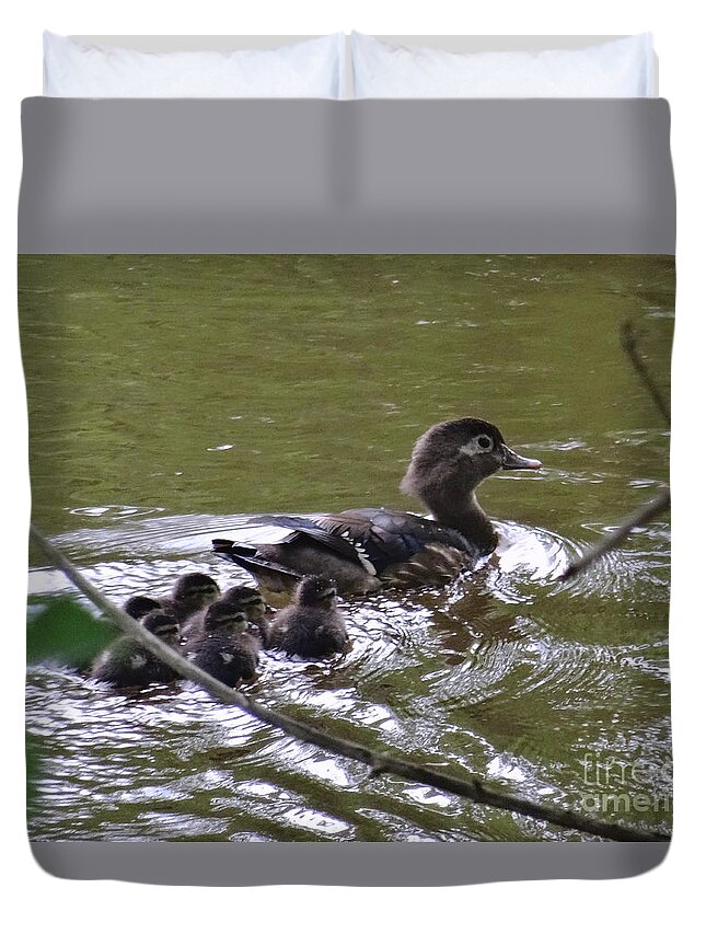 Birds Duvet Cover featuring the photograph Wood Duck and Ducklings by Christopher Plummer