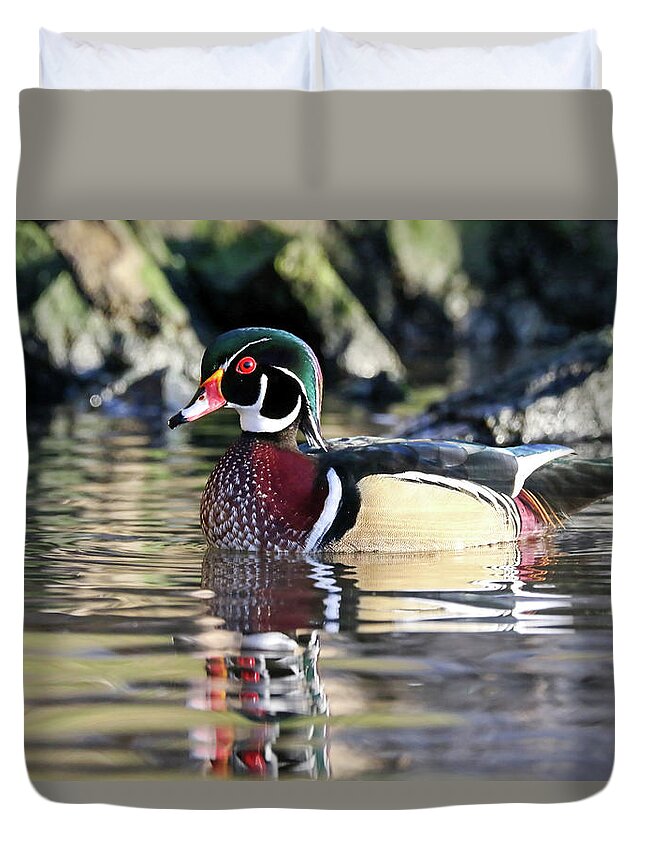 Duck Duvet Cover featuring the photograph Wood Duck by Jim Nelson