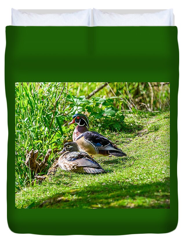 Wood Ducks Duvet Cover featuring the photograph Wood Duck Pair by Jerry Cahill