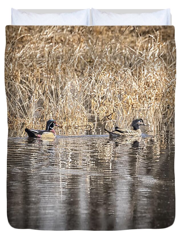 Drake Wood Duck Duvet Cover featuring the photograph Wood Ducks 2016-1 by Thomas Young