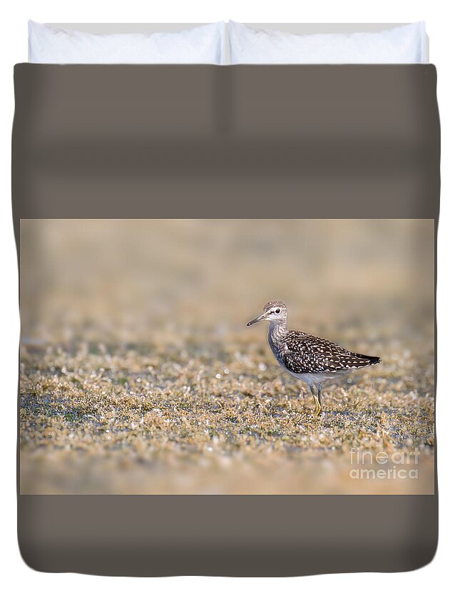 Animal Duvet Cover featuring the photograph Wood sandpiper by Jivko Nakev