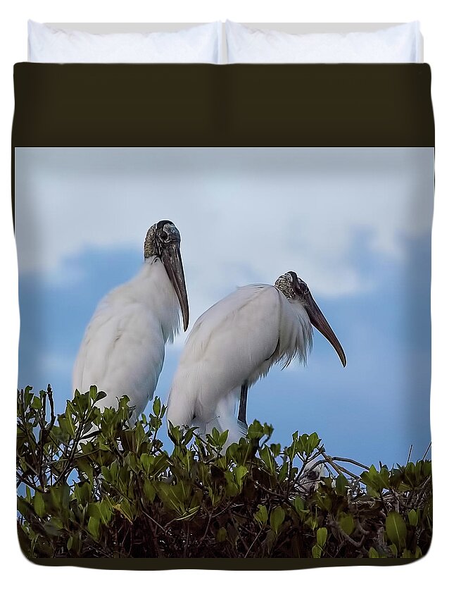 Wood Stork Duvet Cover featuring the photograph Wood Stork Couple by Richard Goldman