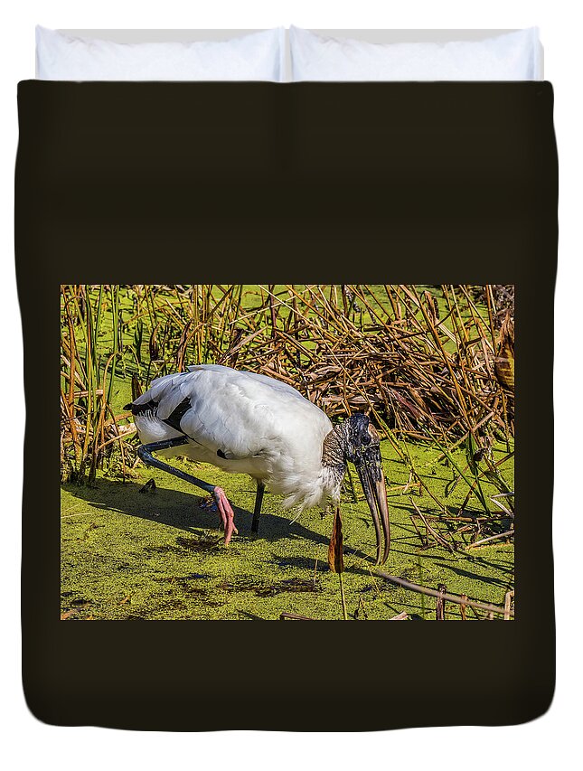 Red Bug Slough Duvet Cover featuring the photograph Wood Stork in Duck Weed by Richard Goldman